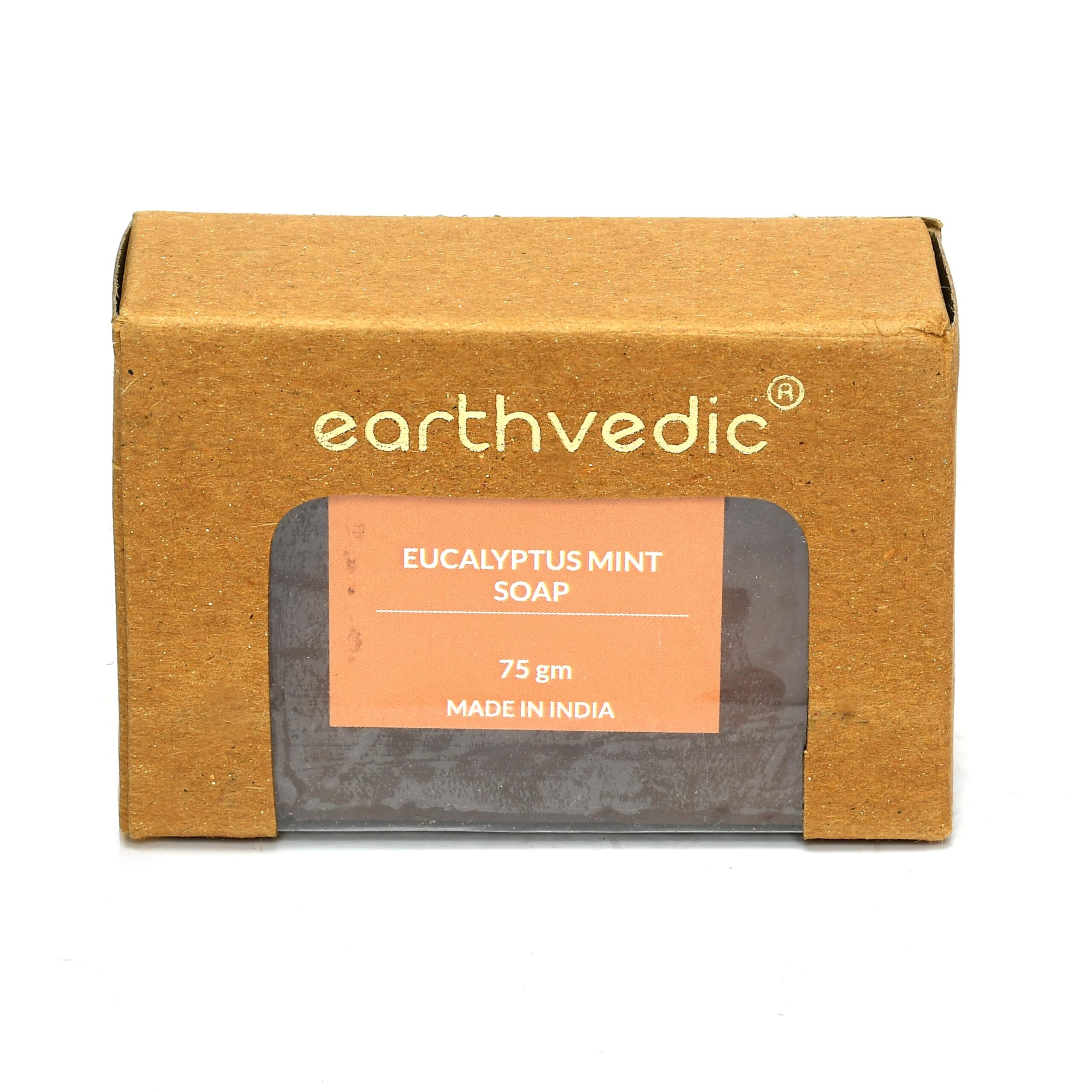 Eucalyptus_Mint_Soap_Optimized (2)